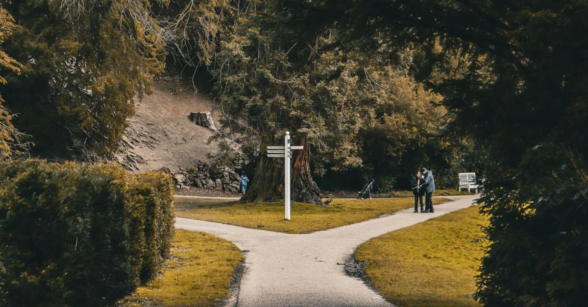 Cruce de dos caminos: la decisión entre el hoy y el mañana