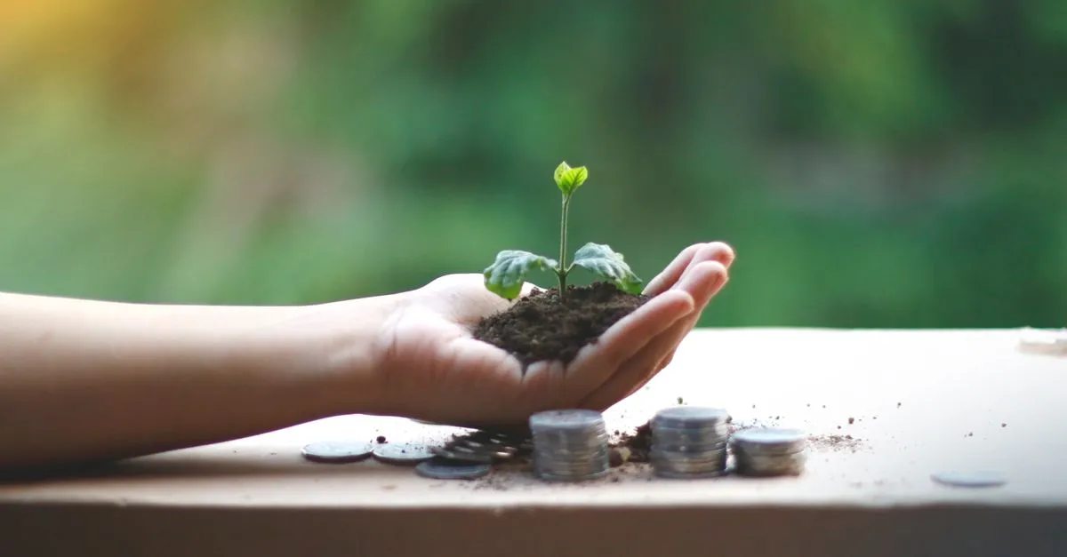 Monedas en frasco con planta creciendo